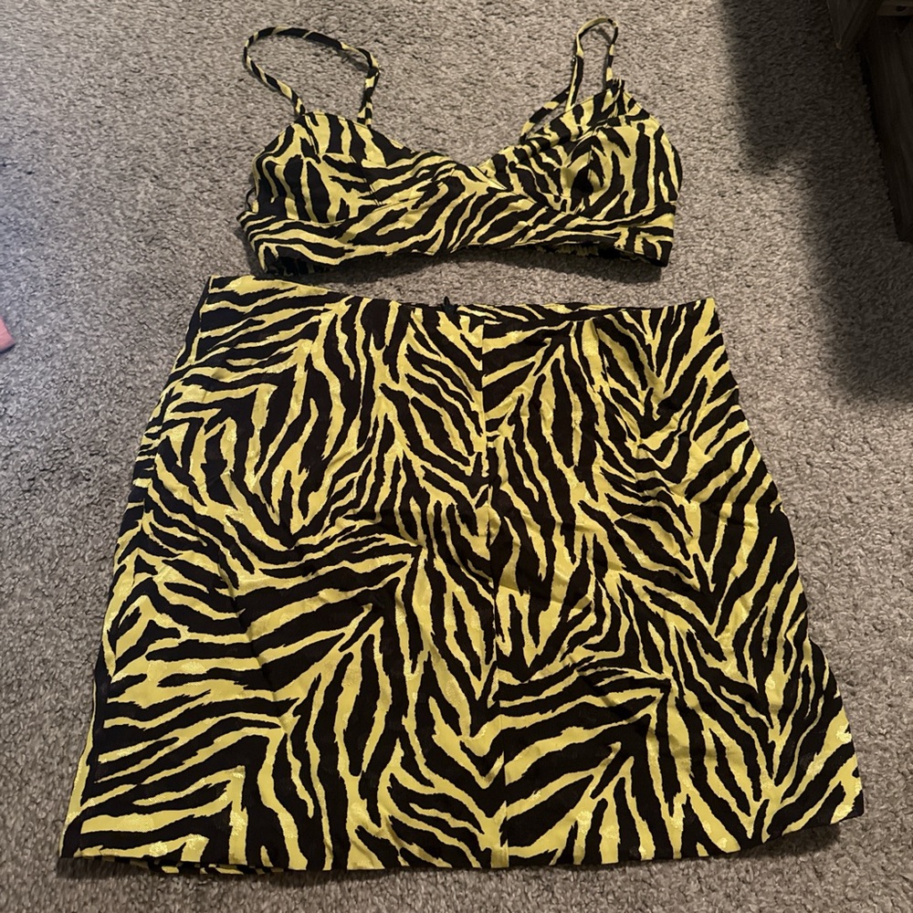 Zebra Print Crop Top and Skirt Set